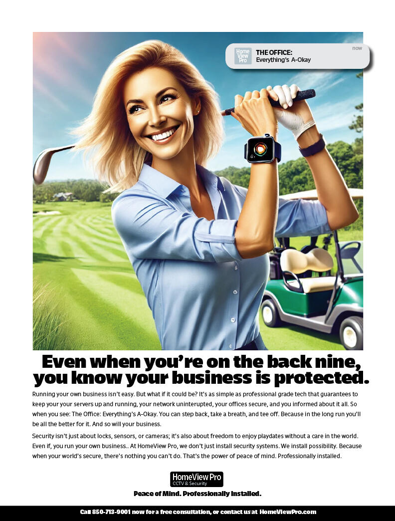 HomeView Security Back Niner Ad