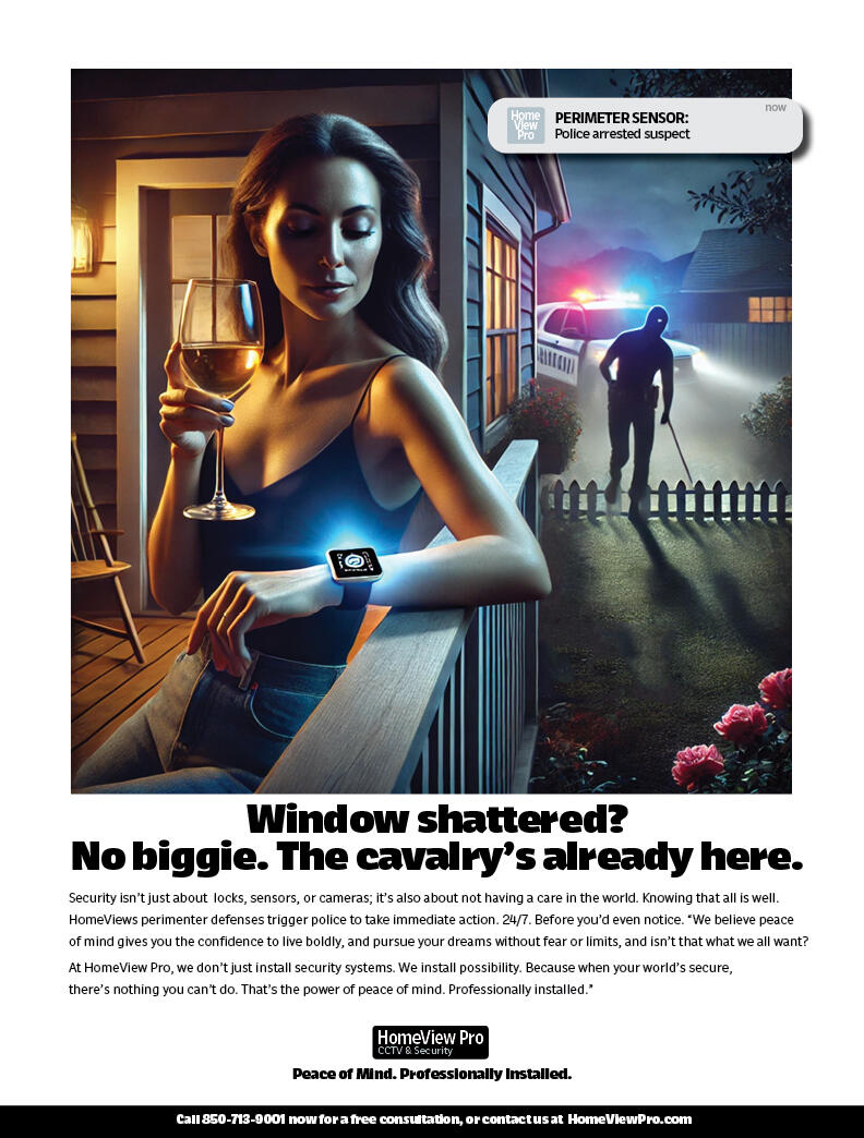 HomeView Security Cavalry Already Here