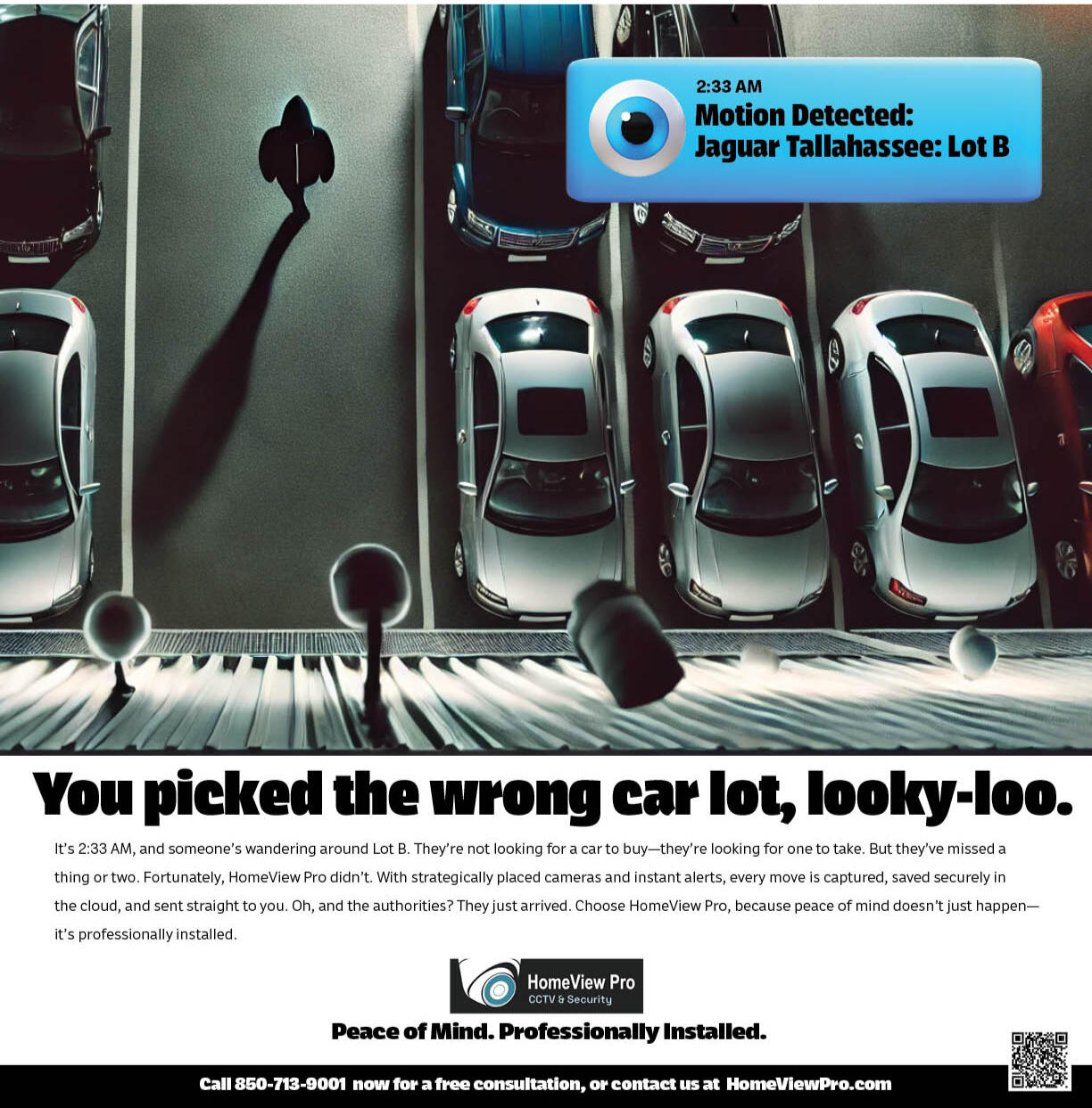 HomeView Security Looky Lou