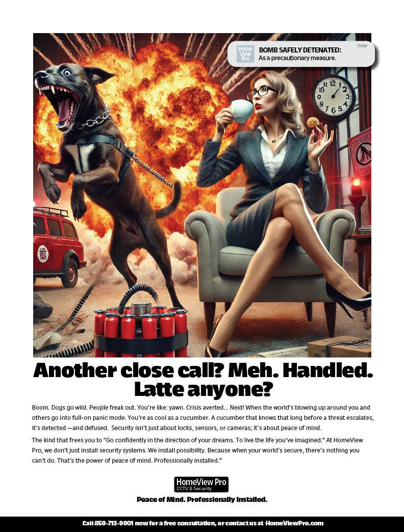 HomeView Security Bomb Safely Detonated