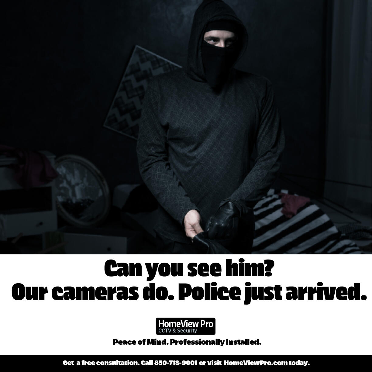 HomeView Security Our Cameras See